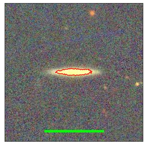 1141_019.0_contour_y