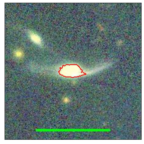 1142_019.0_contour_y