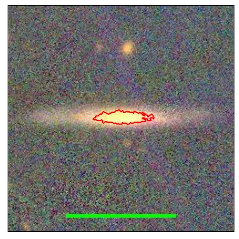 1142_019.1_contour_y