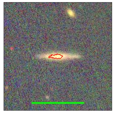 1146_020.1_contour_y