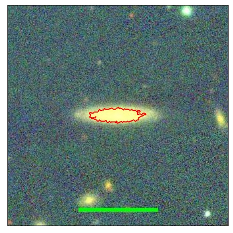 1146_020.2_contour_y