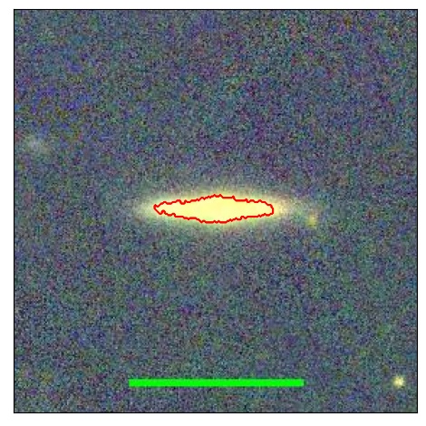 1146_031.0_contour_y