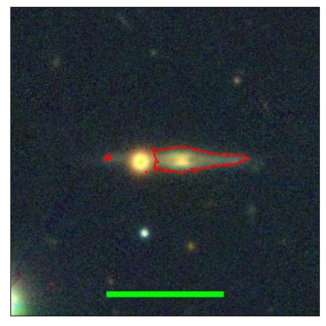 1156_021.0_contour_r