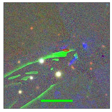 1163_049.0_contour_g