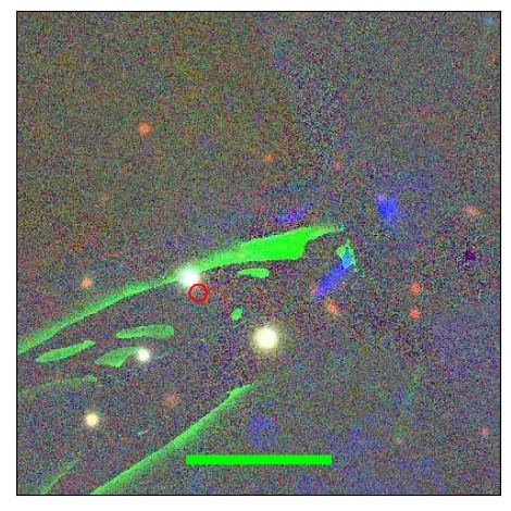 1163_049.0_contour_y