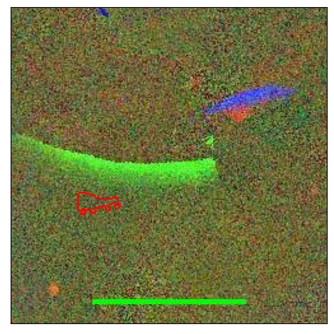 1164_038.0_contour_g