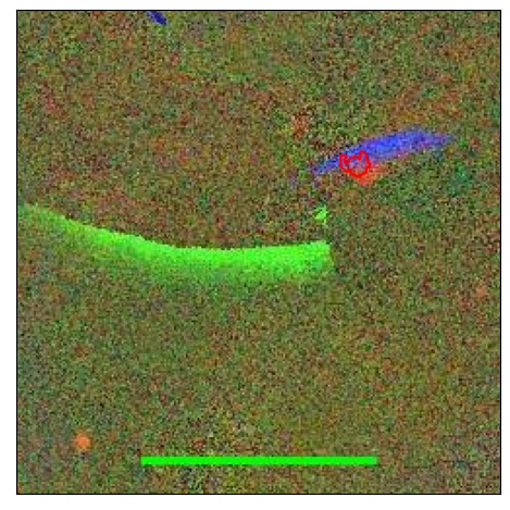 1164_038.0_contour_i