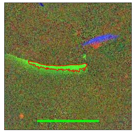 1164_038.0_contour_r