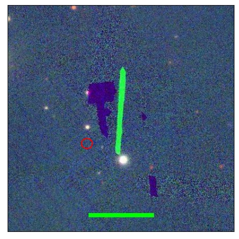 1164_075.0_contour_y