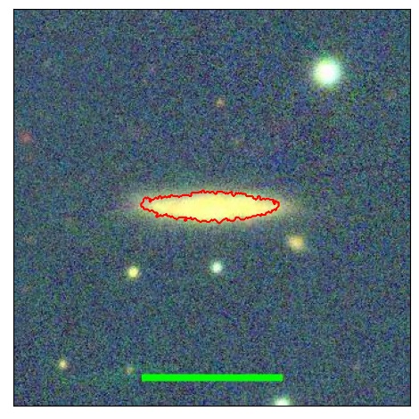 1165_013.0_contour_y