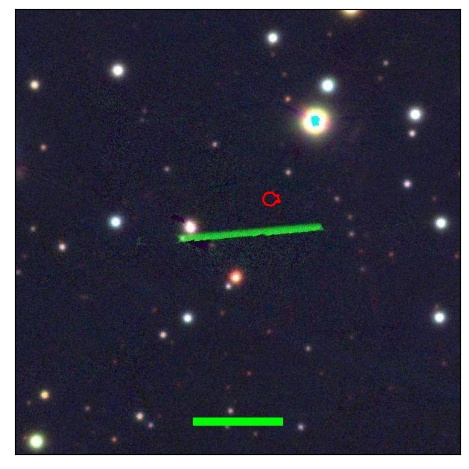 1167_009.0_contour_g