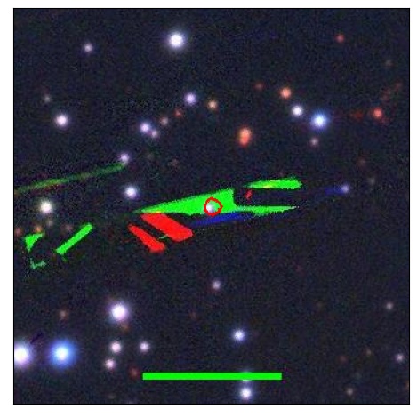 1168_006.0_contour_i