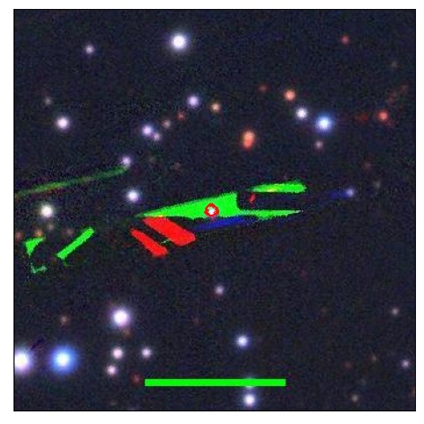 1168_006.0_contour_y