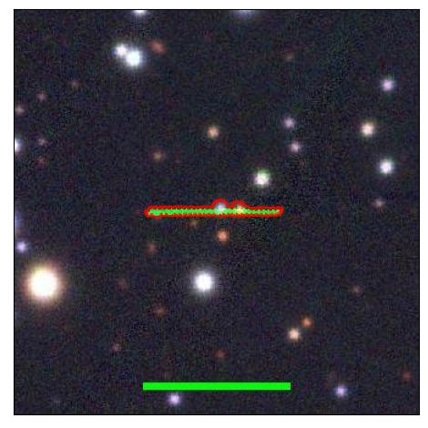 1168_037.0_contour_r