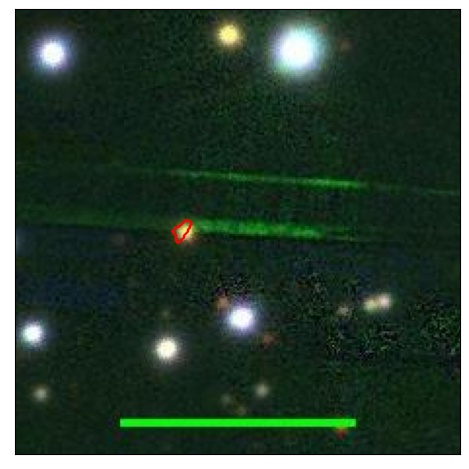 1170_016.0_contour_r