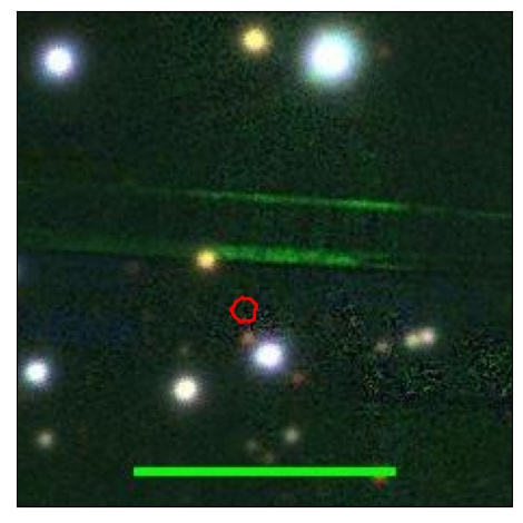 1170_016.0_contour_y