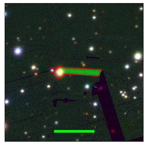 1170_026.0_contour_r