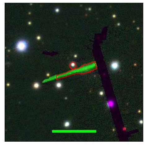 1170_050.0_contour_r