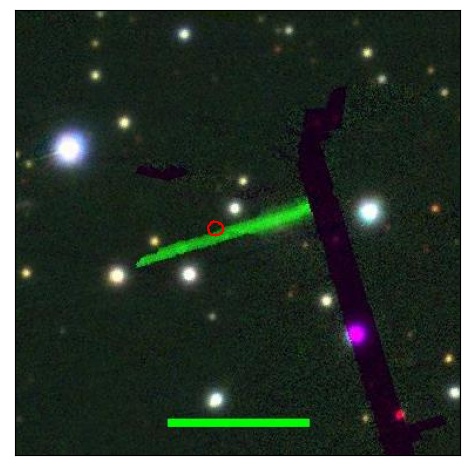 1170_050.0_contour_y