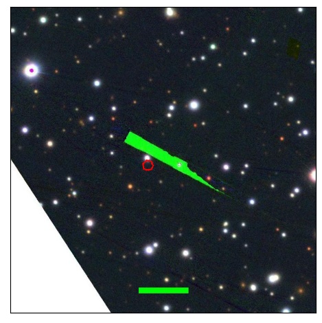 1170_081.0_contour_g