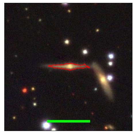 1172_021.0_contour_y