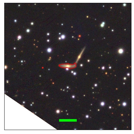 1172_021.1_contour_i