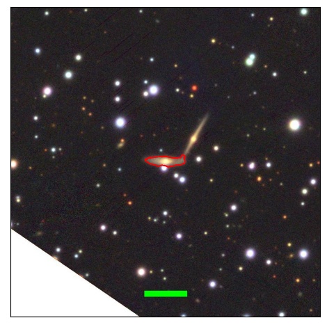 1172_021.1_contour_z