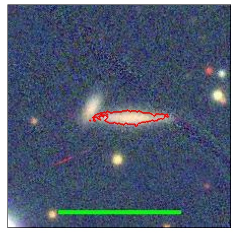 1173_081.0_contour_g