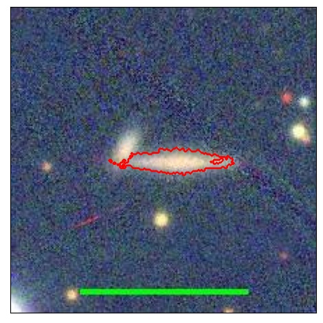 1173_081.0_contour_r