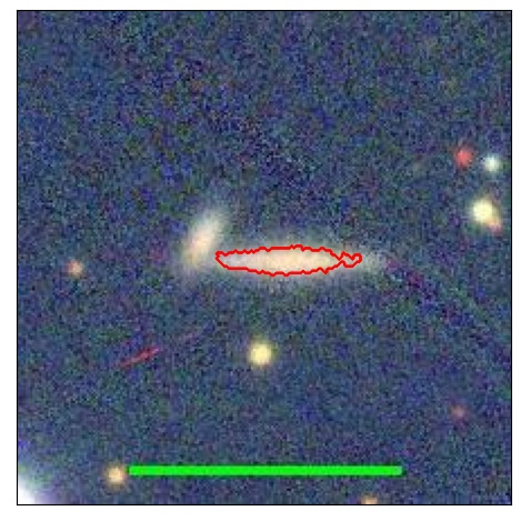 1173_081.0_contour_y