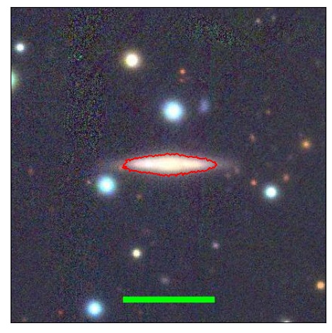 1174_061.0_contour_g