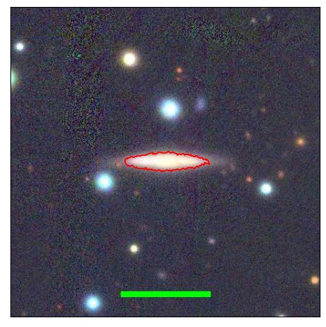 1174_061.0_contour_y