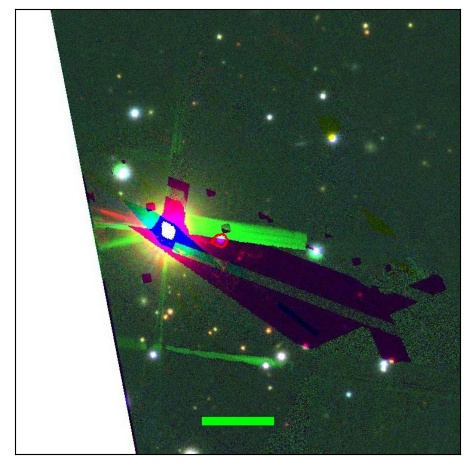 1175_039.1_contour_g