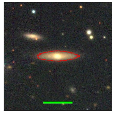 1175_098.1_contour_z