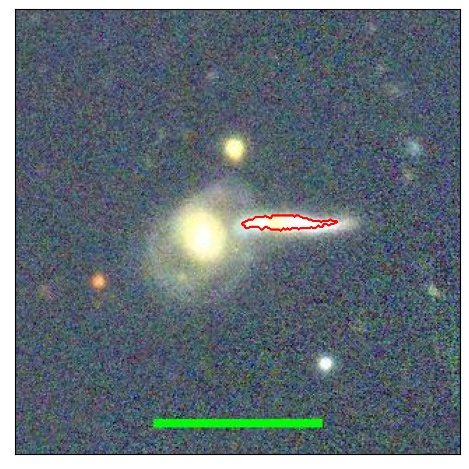 1180_050.0_contour_y