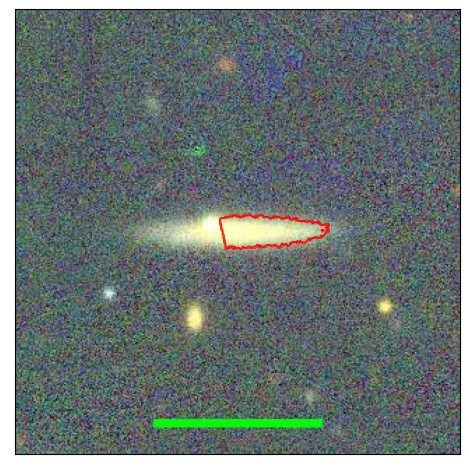 1181_007.0_contour_r