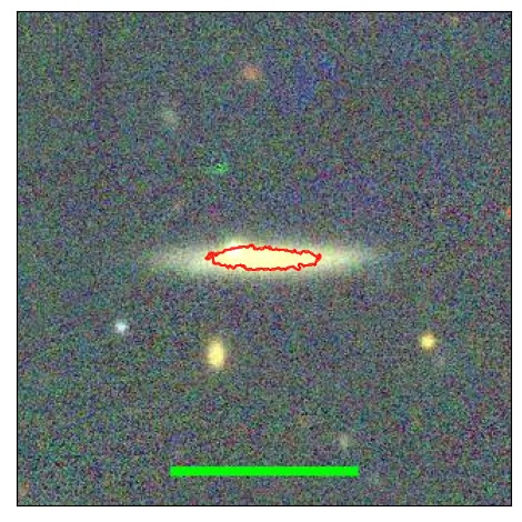 1181_007.0_contour_y