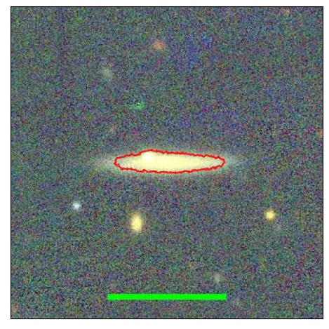 1181_007.0_contour_z