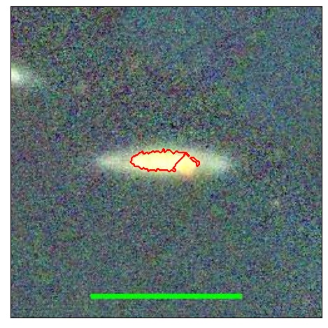 1181_008.0_contour_y