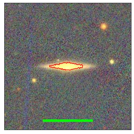 1181_017.0_contour_y