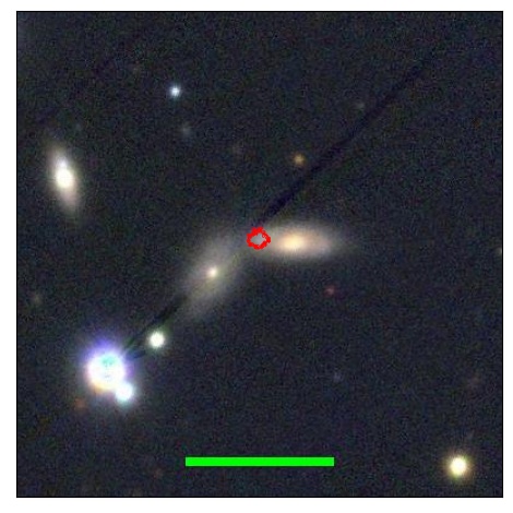 1181_031.1_contour_g