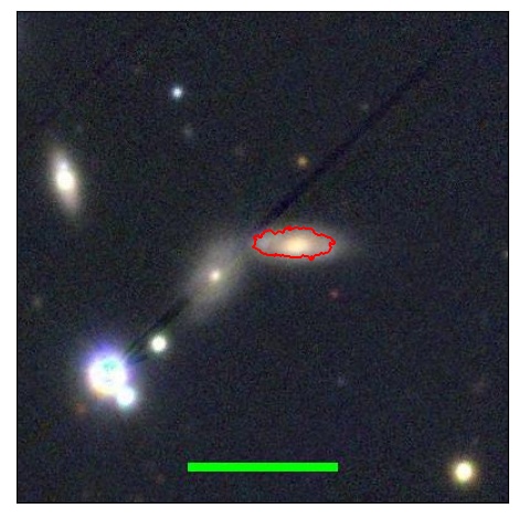 1181_031.1_contour_y