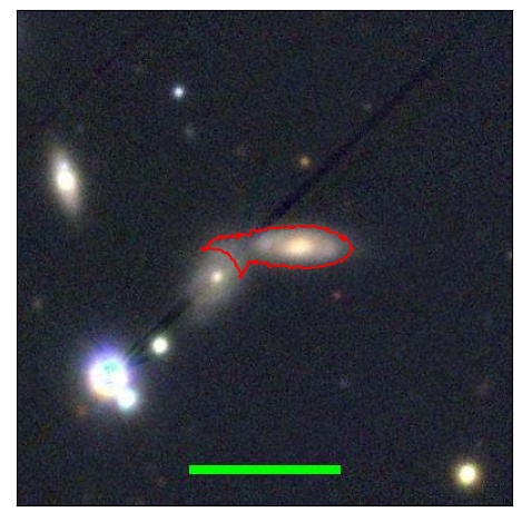 1181_031.1_contour_z