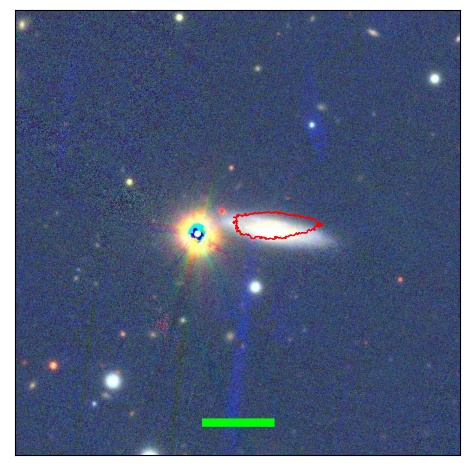 1181_045.0_contour_y