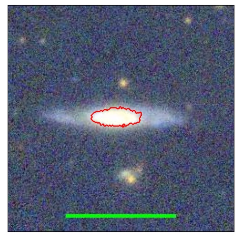 1181_049.0_contour_y