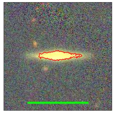 1181_082.1_contour_g