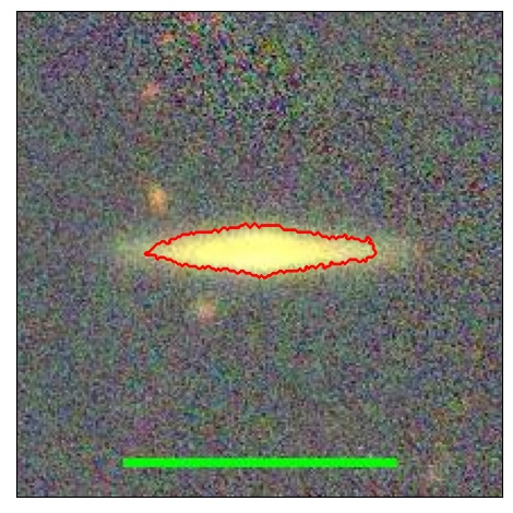 1181_082.1_contour_r