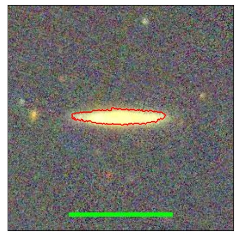 1184_006.0_contour_g