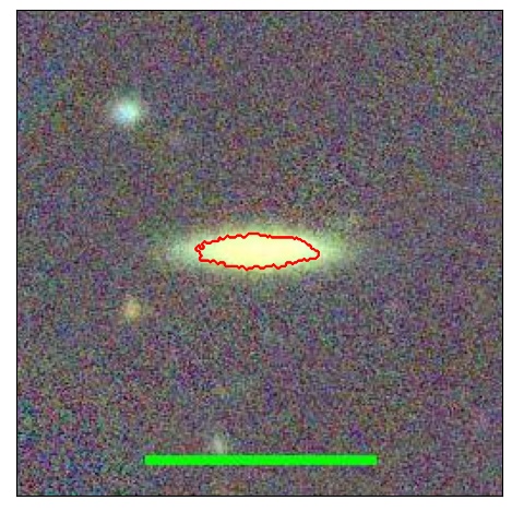 1184_020.1_contour_y