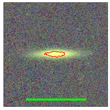 1184_020.2_contour_y